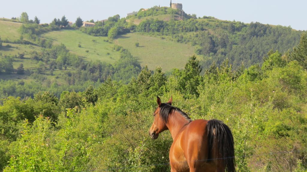 Les Gites D'Eliane Laragne Exterior photo